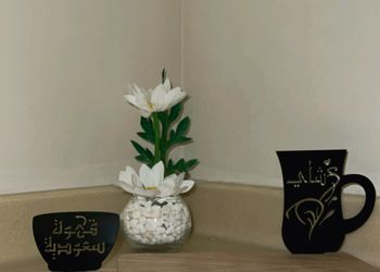 شقة بغرفتين نوم وصالة