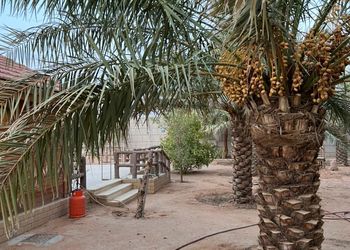 استراحةبجلسة خارجية وألعاب أطفال