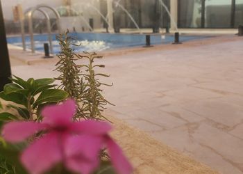 شاليه بمسبح خارجي والعاب اطفال