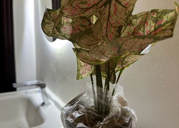 استديو بأثاث مريح وبسيط 