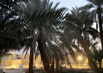 مزرعة بفيلا تراثية مودرن و إسطبل