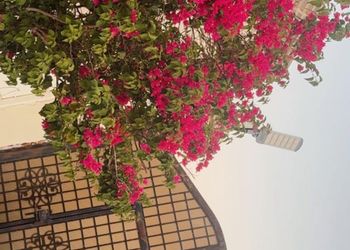 استراحة بصاله أنيقة وجلسة خارجية