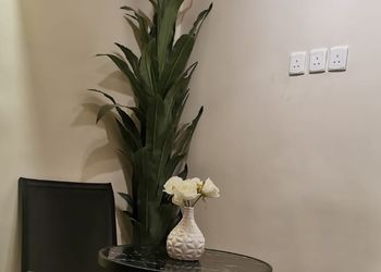 استديو هادئ بسرير ماستر 