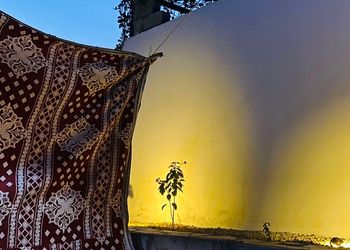 مزرعة بأجواء مميزة وجلسة خارجية 