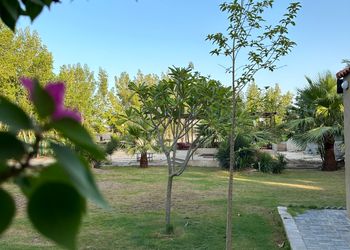 استراحة بجلسة خارجية و مجالس