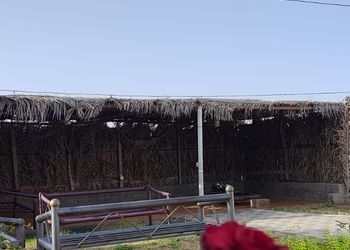 شاليه 