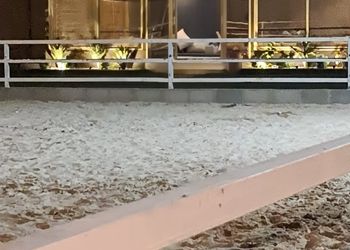 استراحة بإسطبل خيل و جلسات