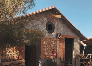 مزرعة باسطبل خيل وجلسه عريش 