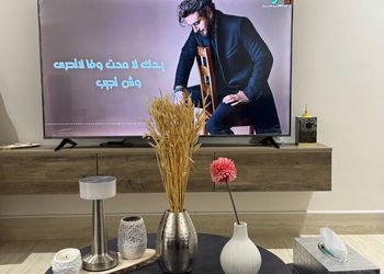 شقة بغرفة نوم وصالة 