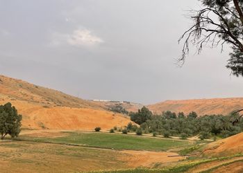 مزرعة بأجواء جميلة ومجالس واسعة