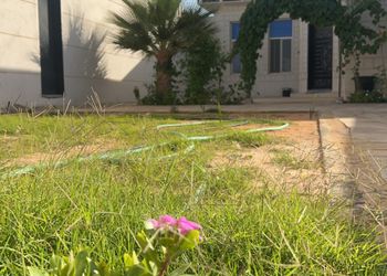 استراحة بمجلس وفناء خارجي 