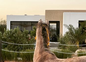 شاليه بتصميم انيق و مسبح خارجي