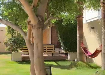 منتجع فندقي بمسبح ومسطح اخضر
