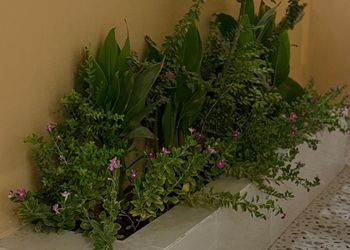 استديو هادئ بسرير ماستر 