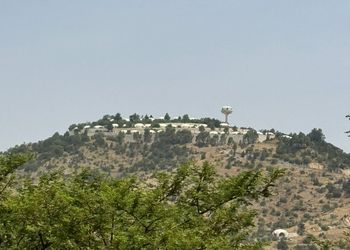 شقة بغرفة نوم وصالة 