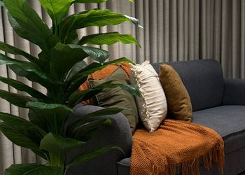 استديو بسرير ماستر وجلسة جانبية