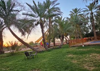 مزرعة بألعاب أطفال ومسبح