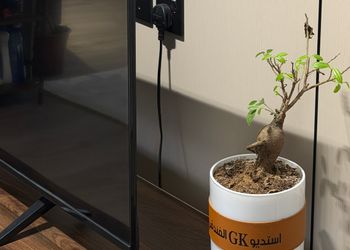 استديو هادئ بسرير ماستر 