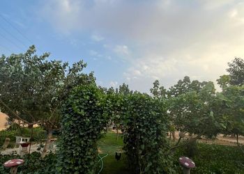 استراحة بصالة مطلة على الخارج 