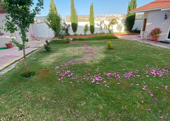 استراحة ومسطح اخضر 