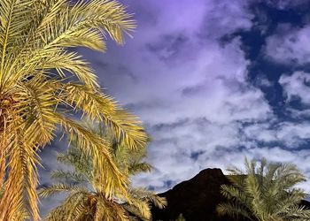 استراحة بغرفتين وصالة ومجلس