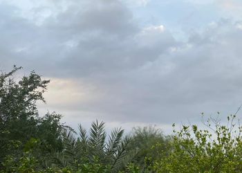 مزرعة بمناظر خلابة وجلسة خارجية 