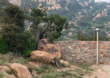 استراحة بمجلس بإطلالة على الجبل