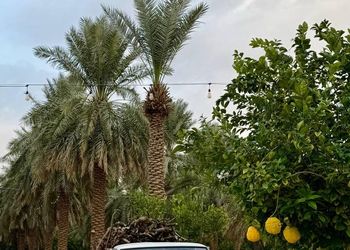 مزرعة بمناظر خلابة وجلسة خارجية 