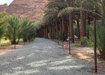 استراحة بجلسة خارجية و مجلس