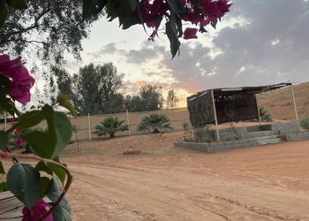 مزرعة بأجواء جميلة ومجالس واسعة