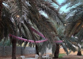 مزرعة بمجلس وجلسة خارجية 