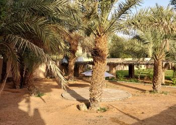 مزرعة بمسطح اخضر و مسبح