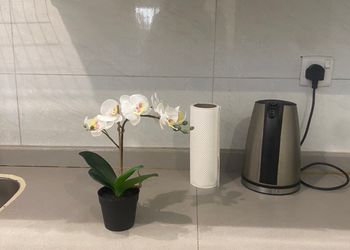 استراحة بمسطح اخضر ومجلس