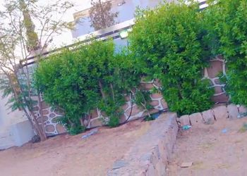 استراحة بجلسة خارجية وألعاب اطفال