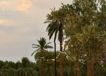 مزرعة بمناظر خلابة وجلسة خارجية 