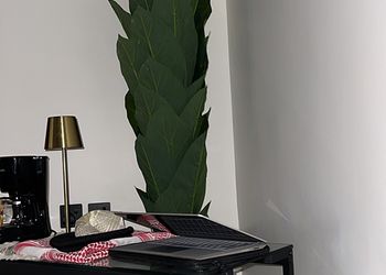 استديو بسرير ماستر وجلسة جانبية 