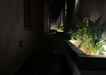 استديو بسرير ماستر وجلسة جانبية