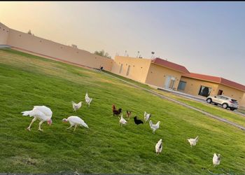 منتجع وشاليه ترحاب