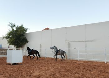 شاليه بمسطح اخضر وجلسة خارجية