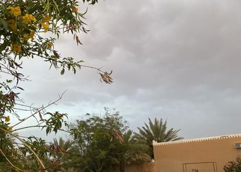 مزرعة بمسطحات خضراء وأجواء ممتعة