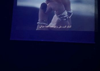 شقة بغرفه نوم وصالة 