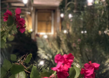 مزرعة بطابع تراثي ومسطحات خضراء