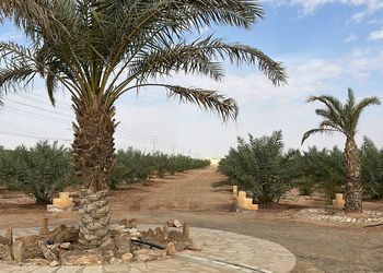 مزرعة بمناظر خلابة وجلسة خارجية 