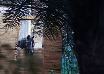 مزرعة بجلسة خارجية ومسطح اخضر