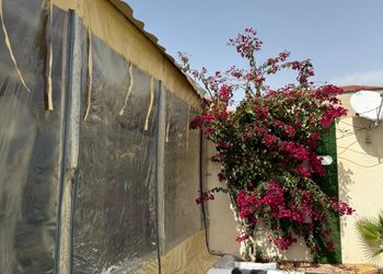 استراحة بمسطح اخضر ومجالس