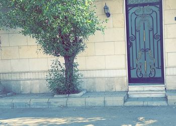 دور ارضي بصاله و مجلسين 