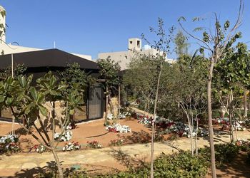 استراحة بمسطح اخضر ومجالس
