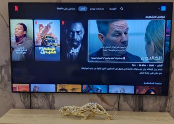 شقة بغرفة نوم وصالة مريحة 