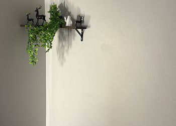 استديو هادئ بسرير ماستر 