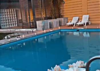 شالية بتصميم مميز للمناسبات